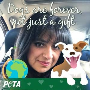 Meet your Posher, Norma